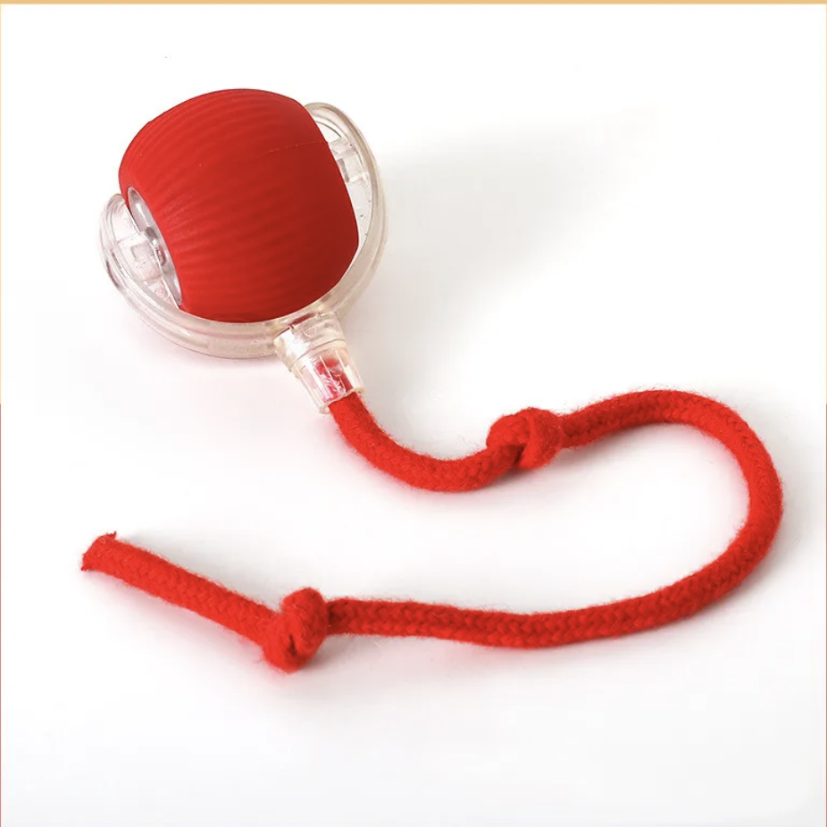 SmartPaw™ Interactive Ball