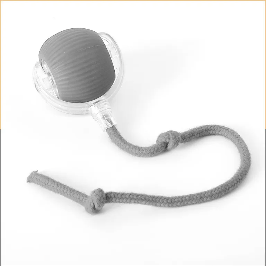 SmartPaw™ Interactive Ball