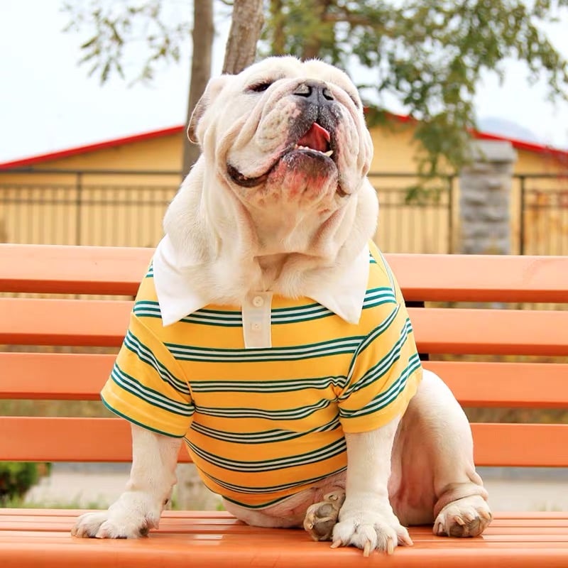 SummerPaw Polo™