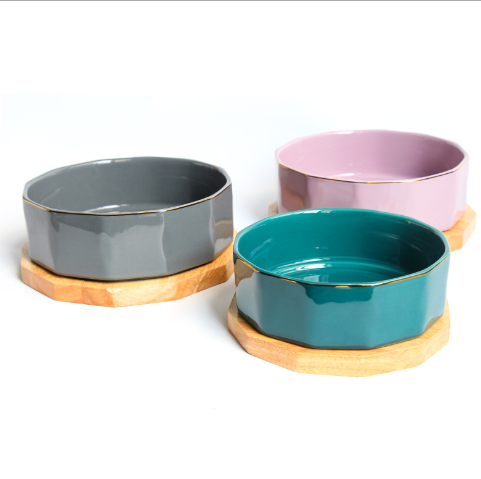 PurePaws™ Bowl Premium de Cerámica