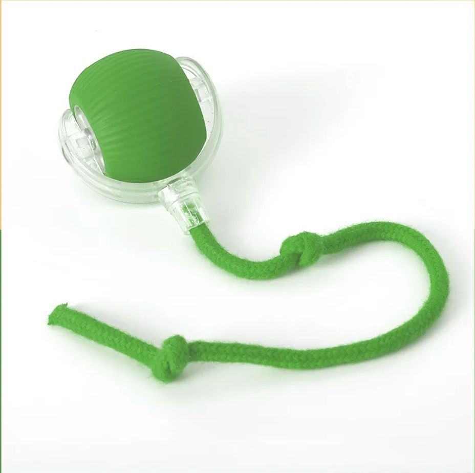 SmartPaw™ Interactive Ball