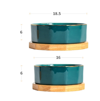 PurePaws™ Bowl Premium de Cerámica